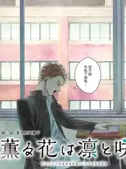 户外生存家纪实综艺在线观看